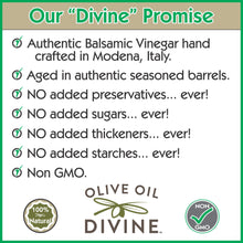 6 Pack - "Gourmet de Lux" Extra Virgin Olive Oil & Balsamic Gift Set